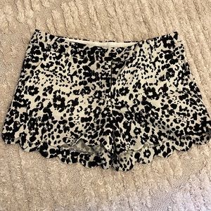 J Crew Shorts Size 6